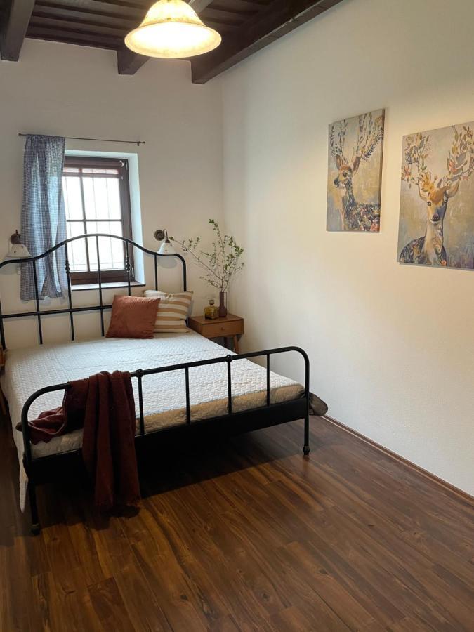 Bivaly Tanya Vila Domaszék Exterior foto
